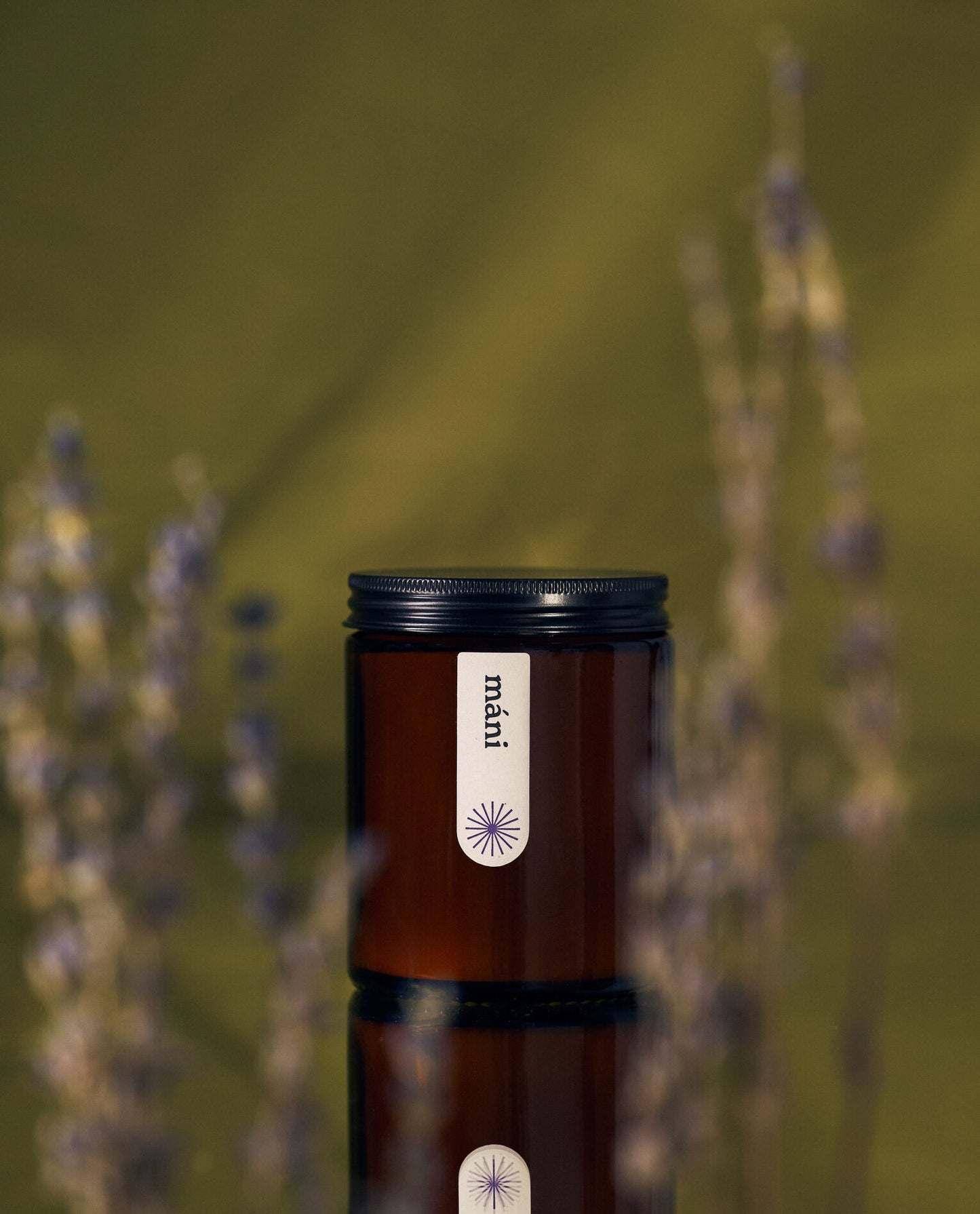 A closed amber jar candle labeled "máni" with a black lid, set against a blurred green background and framed by lavender stems.